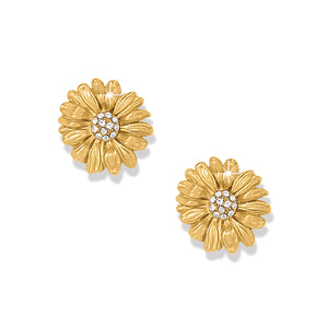 Brighton Daisy Dee Post Earrings JA0138