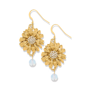 Brighton Daisy Dee French Wire Earrings JA0139